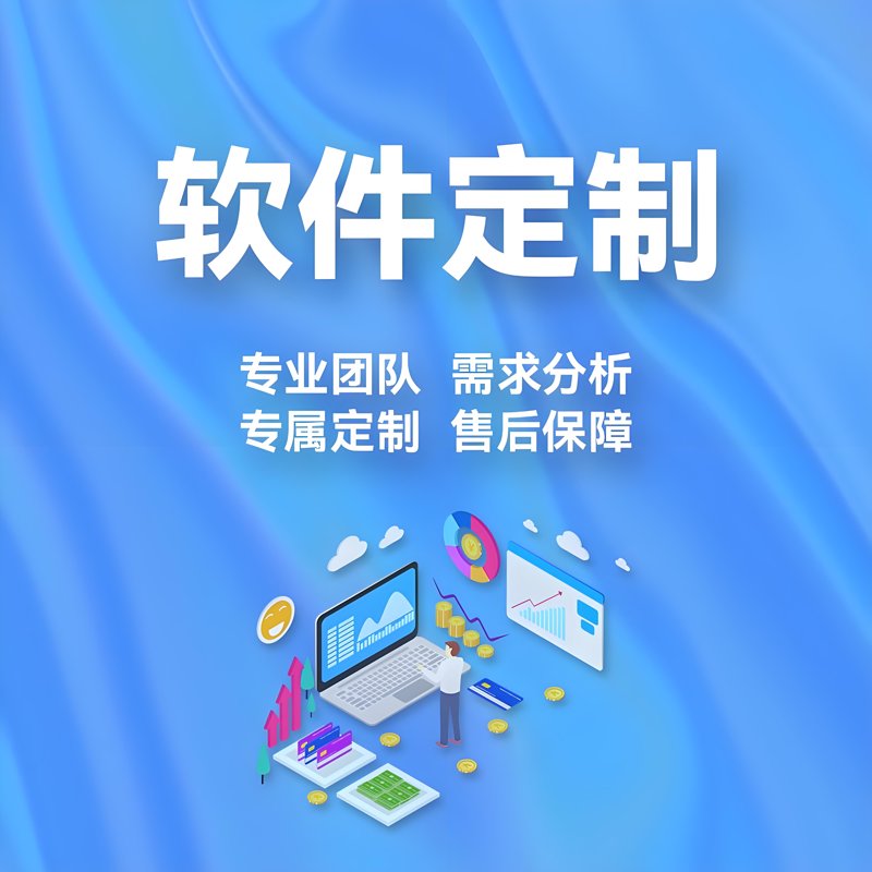 定制开发：适应企业需求的艺术